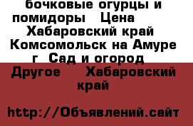 бочковые огурцы и помидоры › Цена ­ 100 - Хабаровский край, Комсомольск-на-Амуре г. Сад и огород » Другое   . Хабаровский край